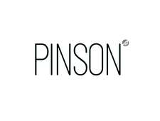 Pinson Automobiles